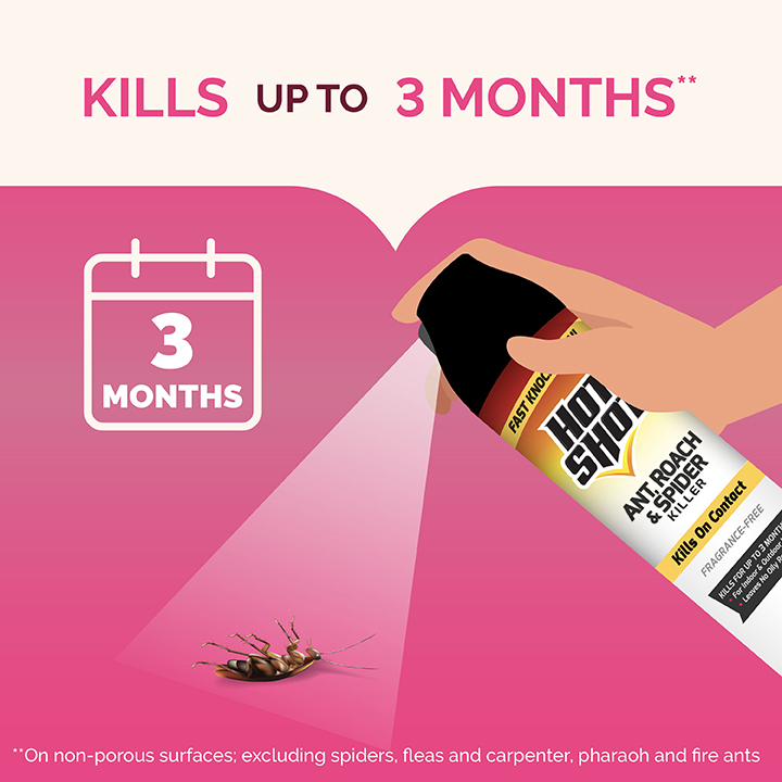 HG-96780 Ant, Roach & Spider Killer Fragrance-Free 17.5 oz Kills up to 3 Months